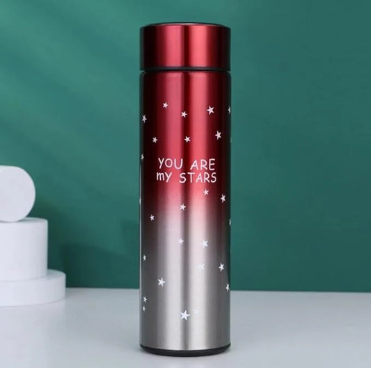 Stainless Steel Vacuum Bottle